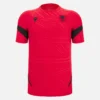 Albania National Team FSHF 2026/27 Adults’ Red Training Shirt Albania National Team FSHF 2026/27 Adults’ Red Training Shirt