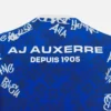 Auxerre 2025/26 Adults’ Warm Up Shirt Auxerre 2025/26 Adults’ Warm Up Shirt