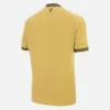 Crystal Palace FC 2025/26 Adults’ Third Match Jersey Crystal Palace FC 2025/26 Adults’ Third Match Jersey