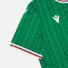 Federazione Calcistica Isole Comore 2025/26 Adults’ Home Match Jersey Federazione Calcistica Isole Comore 2025/26 Adults’ Home Match Jersey