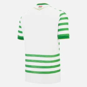 Ferencváros TC 2025/26 Adults’ Home Match Jersey Ferencváros TC 2025/26 Adults’ Home Match Jersey