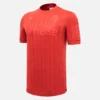 Hannover 96 2025/26 Jersey Special Edition