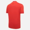 Hannover 96 2025/26 Jersey Special Edition