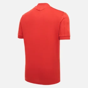 Hannover 96 2025/26 Jersey Special Edition