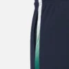Ireland Cricket Team 2026/28 ODI Adults’ Match Pants Ireland Cricket Team 2026/28 ODI Adults’ Match Pants