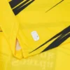 Ludwisburg 2025/26 Adults’ Home Match Jersey Ludwisburg 2025/26 Adults’ Home Match Jersey
