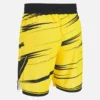 Ludwisburg 2025/26 Adults’ Home Shorts Ludwisburg 2025/26 Adults’ Home Shorts