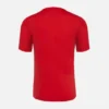 Pallacanestro Reggiana 2025/26 Adults’ Training Shirt Pallacanestro Reggiana 2025/26 Adults’ Training Shirt