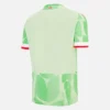 Reading FC 2025/26 Adults’ Third Match Jersey Reading FC 2025/26 Adults’ Third Match Jersey