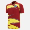 T-20 West Indies Cricket 2025/26 Match Shirt T-20 West Indies Cricket 2025/26 Match Shirt