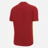 T-20 West Indies Cricket 2025/26 Match Shirt T-20 West Indies Cricket 2025/26 Match Shirt