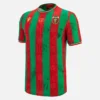 Ternana Calcio 2025/26 Adults’ Home Match Jersey Ternana Calcio 2025/26 Adults’ Home Match Jersey
