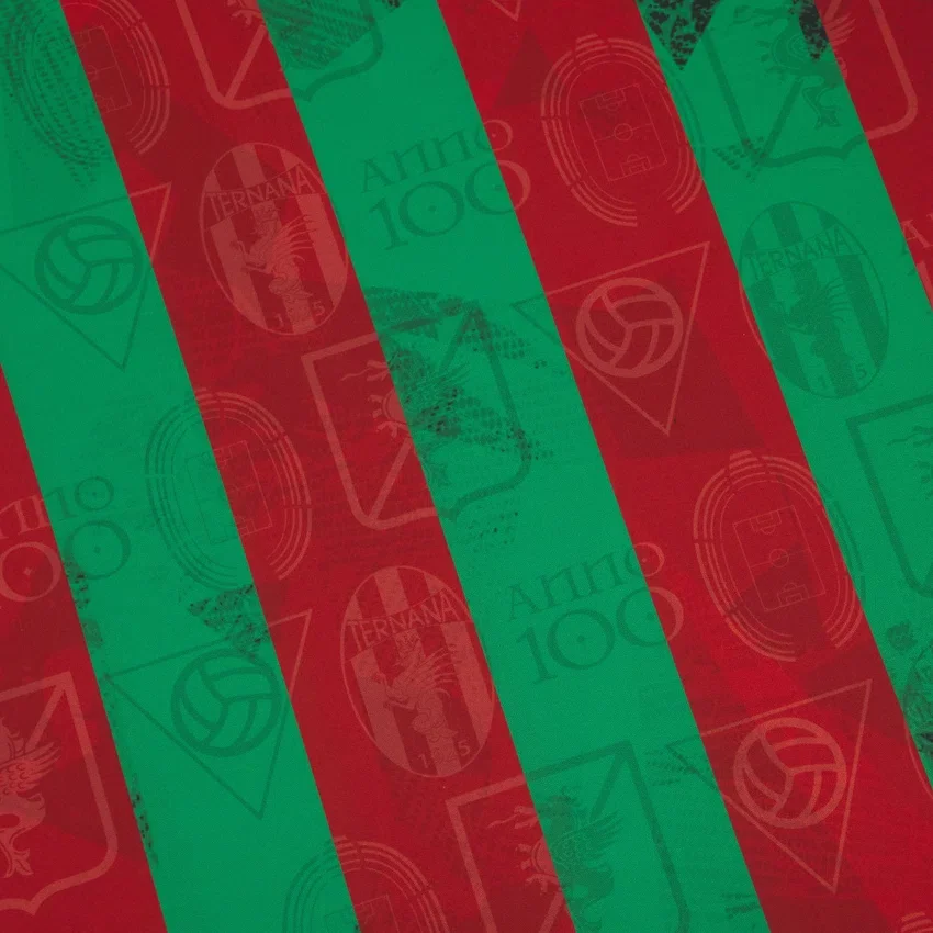 Ternana Calcio 2025/26 Adults’ Home Match Jersey Ternana Calcio 2025/26 Adults’ Home Match Jersey