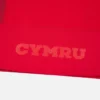 Welsh Rugby 2025/26 Home Match Shirt