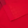 Welsh Rugby 2025/26 Home Match Shirt
