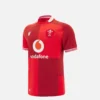 Welsh Rugby 2025/26 Junior Home Replica Shirt