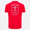 Welsh Rugby 2025/26 Red Fan Tee Welsh Rugby 2025/26 Red Fan Tee