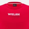 Welsh Rugby 2025/26 Red Fan Tee Welsh Rugby 2025/26 Red Fan Tee